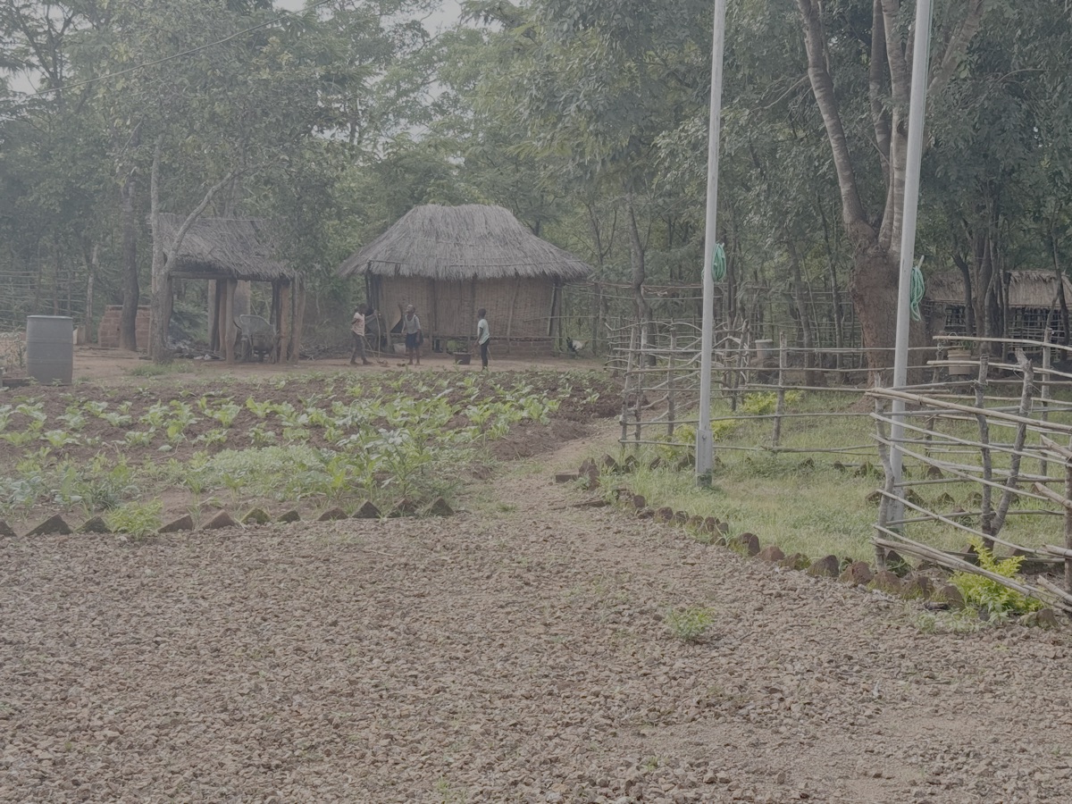 Een gedeelte van onze tuin met in de achtergrond de kinderen van Shema en Lydia.
Verder in de achtergrond het traditionele kippenhok en ren.