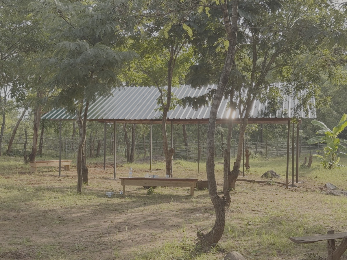 Het begint erop te lijken. Een helft van het dak is af. 