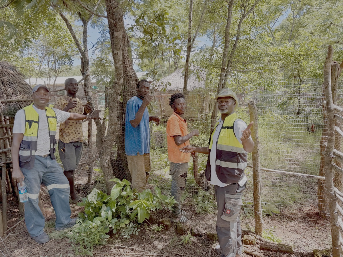 Vandaag ook de afrastering voor de (traditionele) kippen hersteld. Heel erg nodig omdat onze bladgroentes kansloos zijn met loslopende kippen