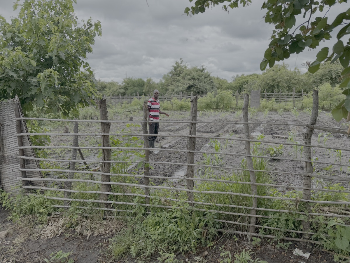 De organische tuin in Gundani. De eerste oogst is al geoogst. HIer zien we verschillende perken die opnieuw zijn ingezaaid. Een aantal inwoners gaan nu ook een gedeelte van hun bestaande velden organisch bemesten en zien dat het resultaat heel goed is
