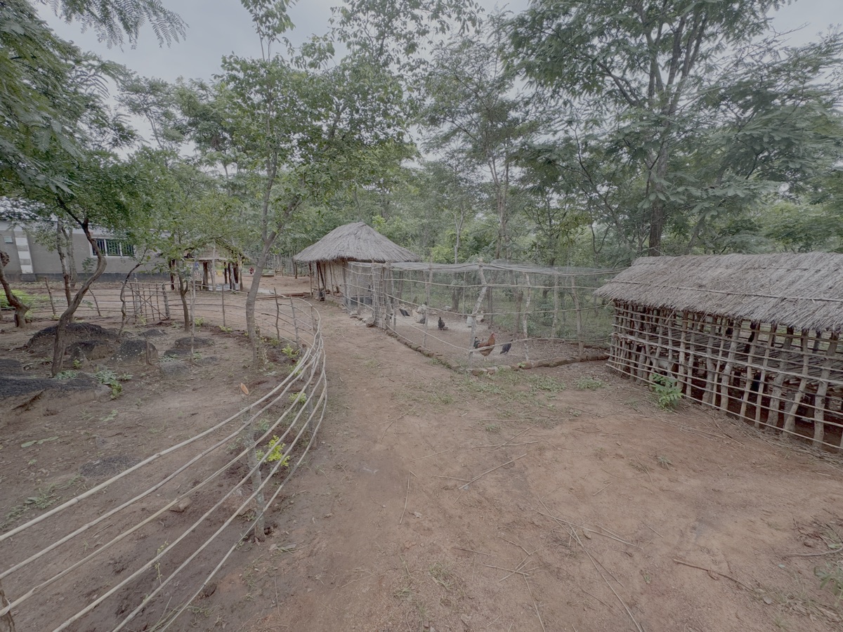 Ons kippenhok en ren. Op de voorgrond het geitenhok. De mest wordt gebruikt voor het maken van compost