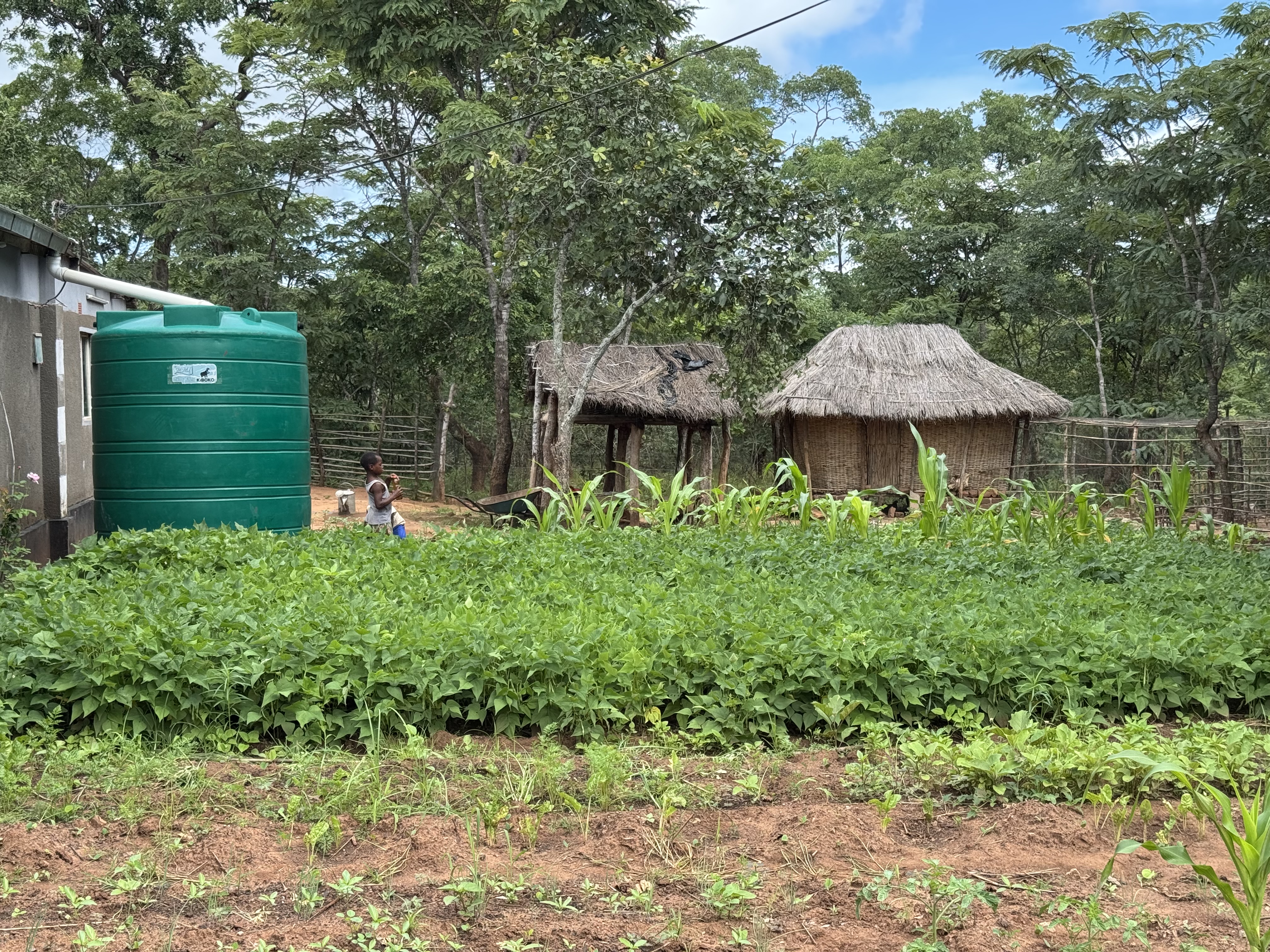 Bonen en andere producten