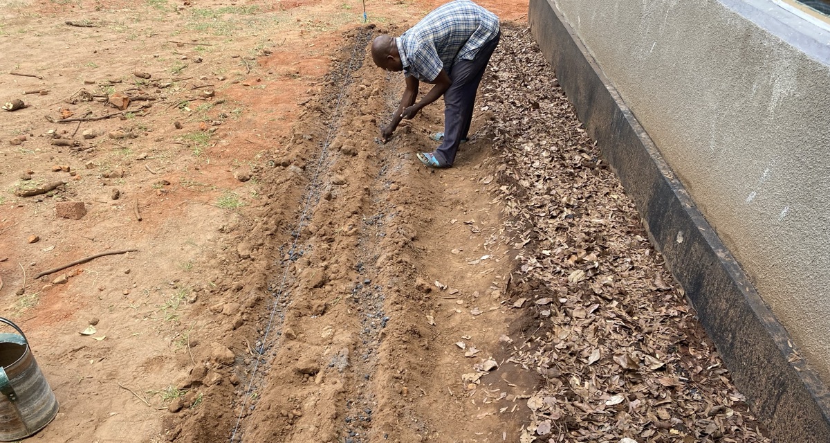 Pastor Jere helpt ons met het opzetten van onze biologische tuin. Hij is een lokale boer die zelf een biologisch dynamische boerderij heeft.